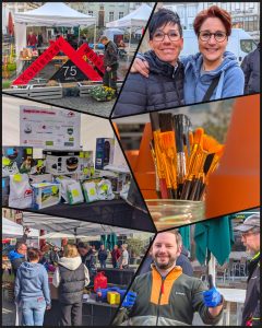 Fotocollage Koblenz blüht