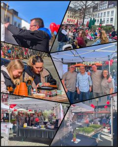 Fotocollage Koblenz blüht
